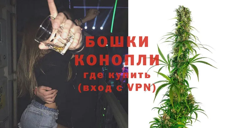 Марихуана SATIVA & INDICA  Грязи 